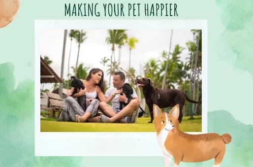 Making your Pet Happier e1687254886368